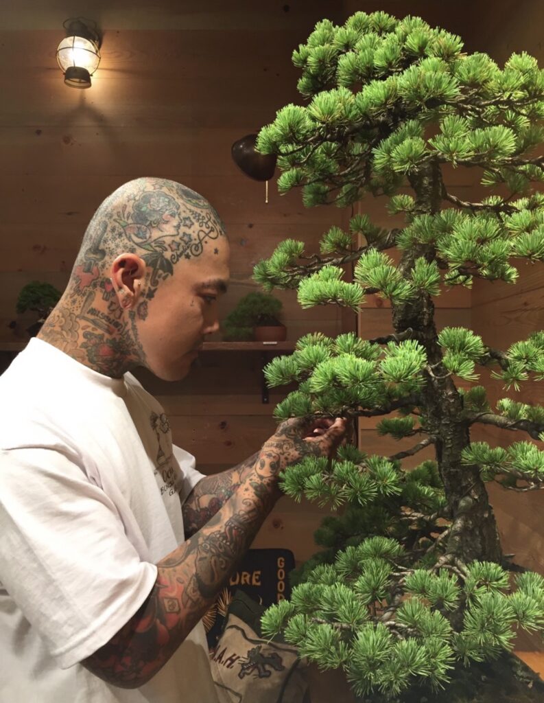 盆栽ポスター トラッドマンズ tradmans ネイバーフッド 濱本祐介 三巴