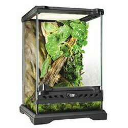 楽天市場】グラステラリウム 4545の通販