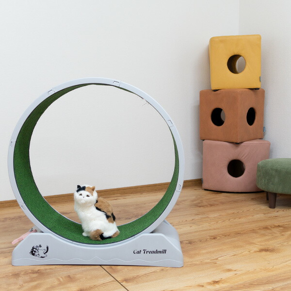 楽天市場】【ポイント2倍！】 ペット 回転ホイール キャットホイール
