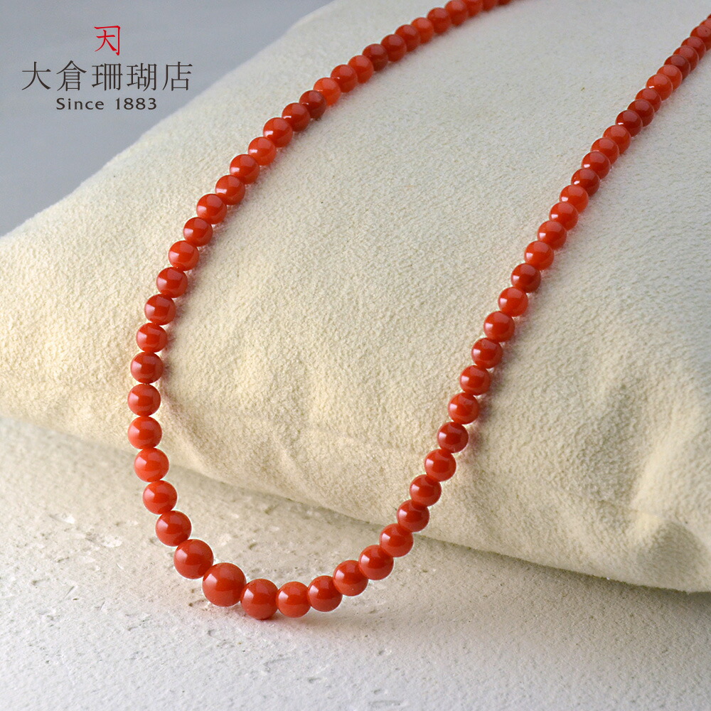 将来さん樣專用珊瑚 将来さん樣專用珊瑚 将来さん樣專用珊瑚 将来さん