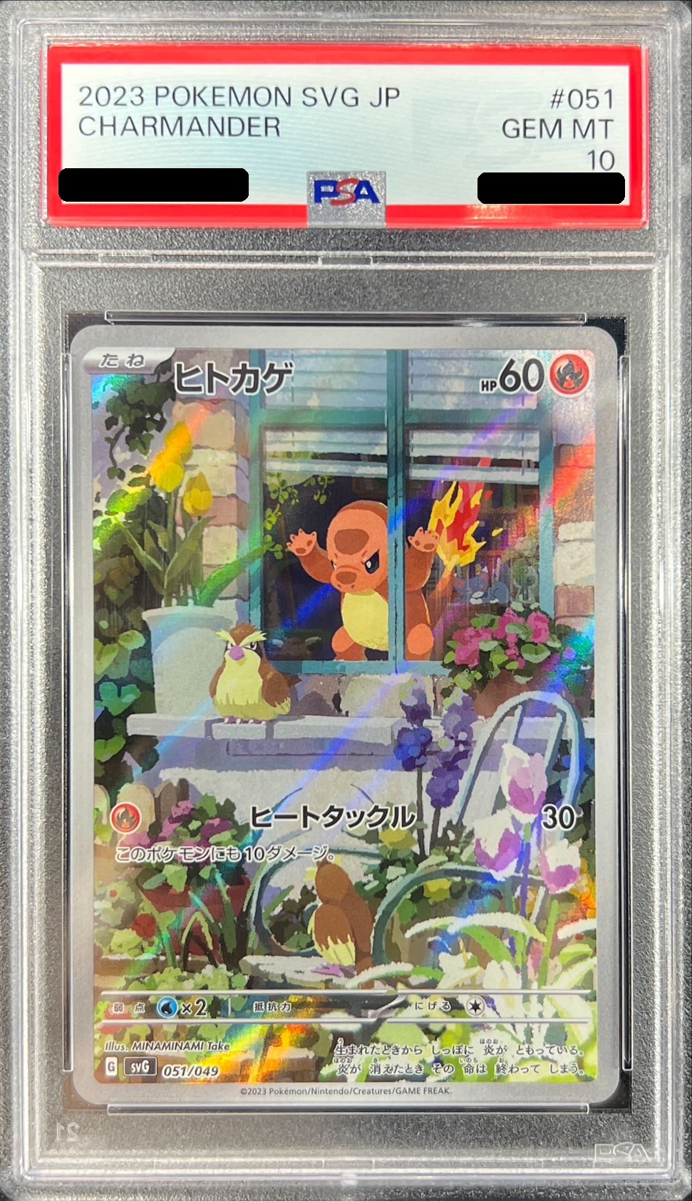 大人気 3連番 PSA10 ヒトカゲ AR フシギダネ AR ゼニガメ ⑤ PSA10