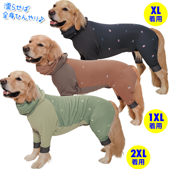 アルファアイコン》 ドッグガードクール（2022）