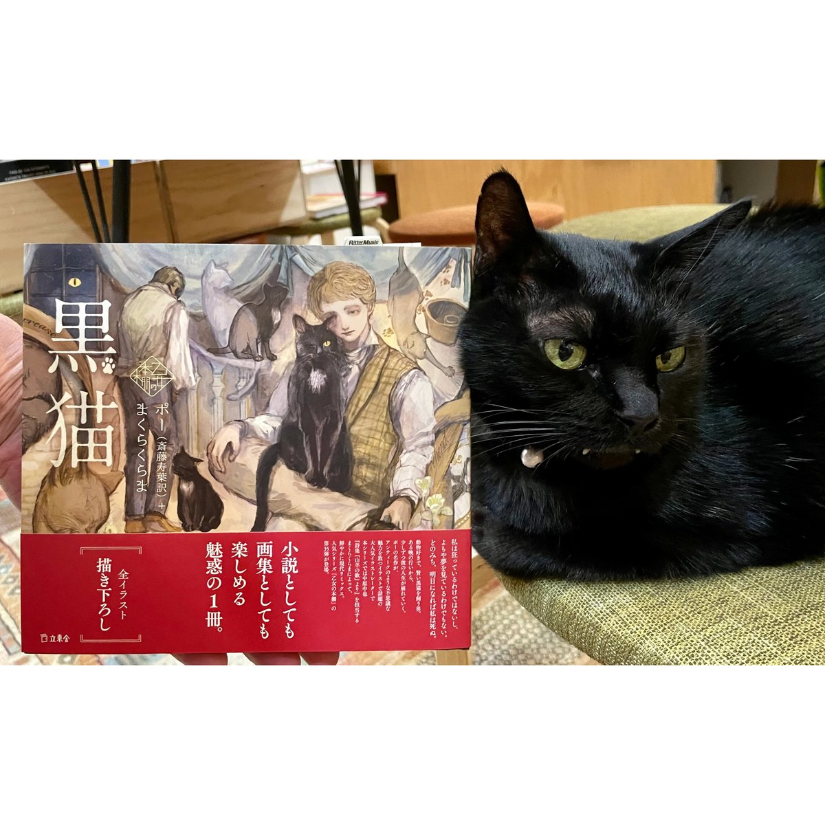 黒ねこ様 リクエスト 2点 まとめ商品 黒猫様 リクエスト 2点 まとめ商品 【