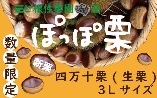 sd1_65dc4d594f3018d172a7fb888b