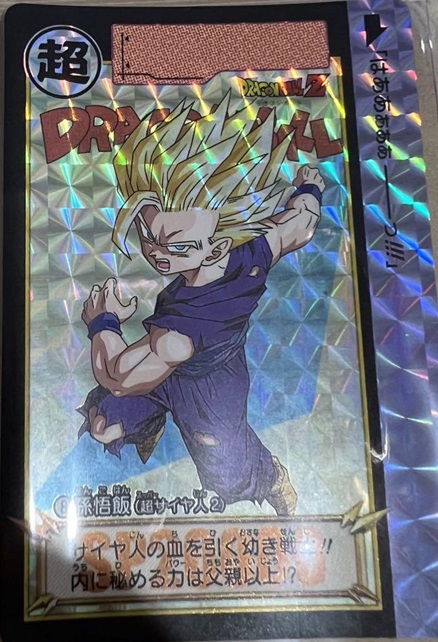 ドラゴンボールカードダス ビジュアルアドベンチャー 216