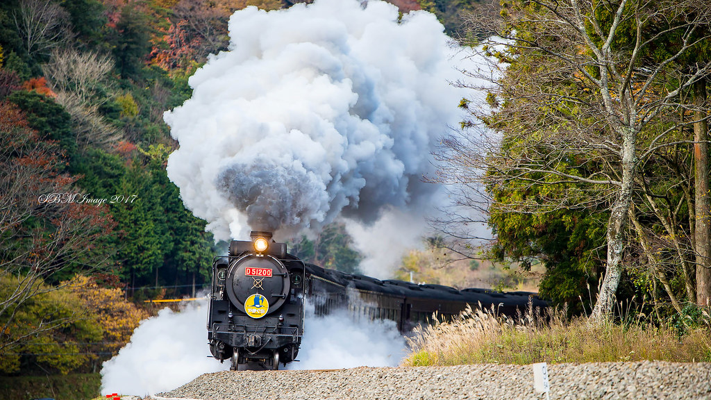 国鉄 SL 蒸気機関車 ミニプレート D51237 国鉄 SL 蒸気機関車 ミニ