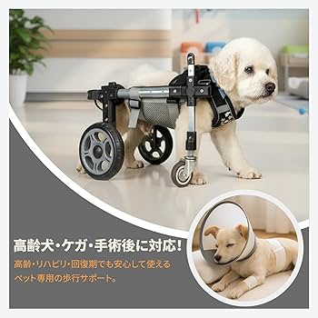 Amazon.co.jp: 犬用車椅子 犬用歩行器 ペット車椅子 4輪歩行補助