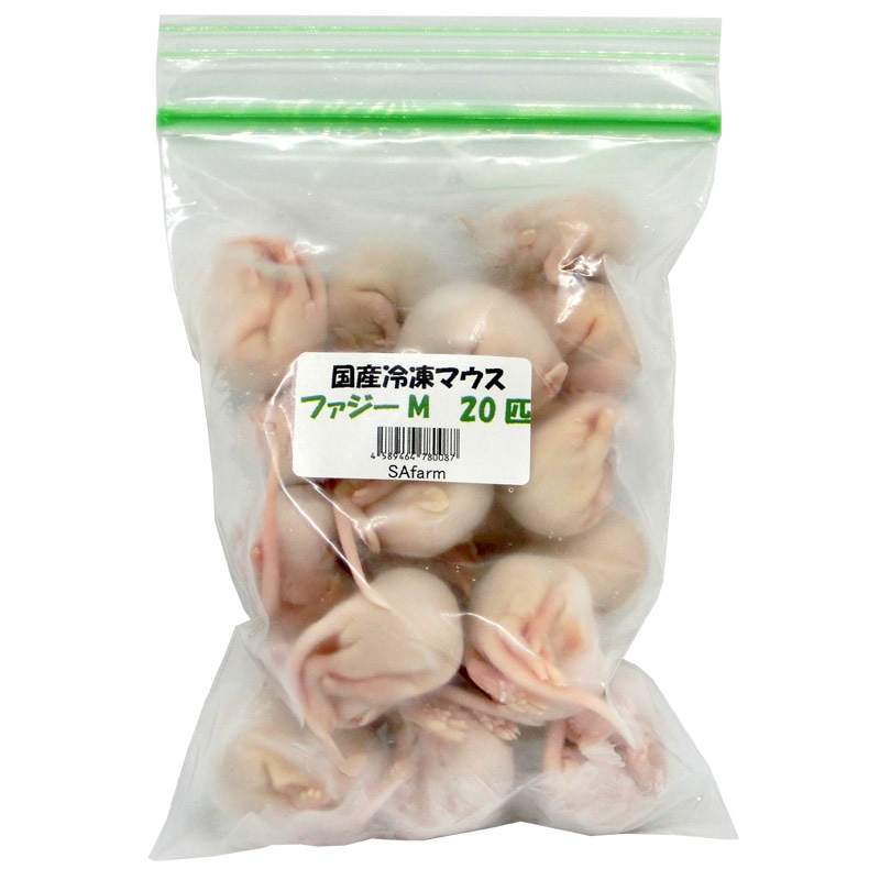 国産冷凍マウス ファジー 100匹 (地域限定送料無料) 【公式通販】