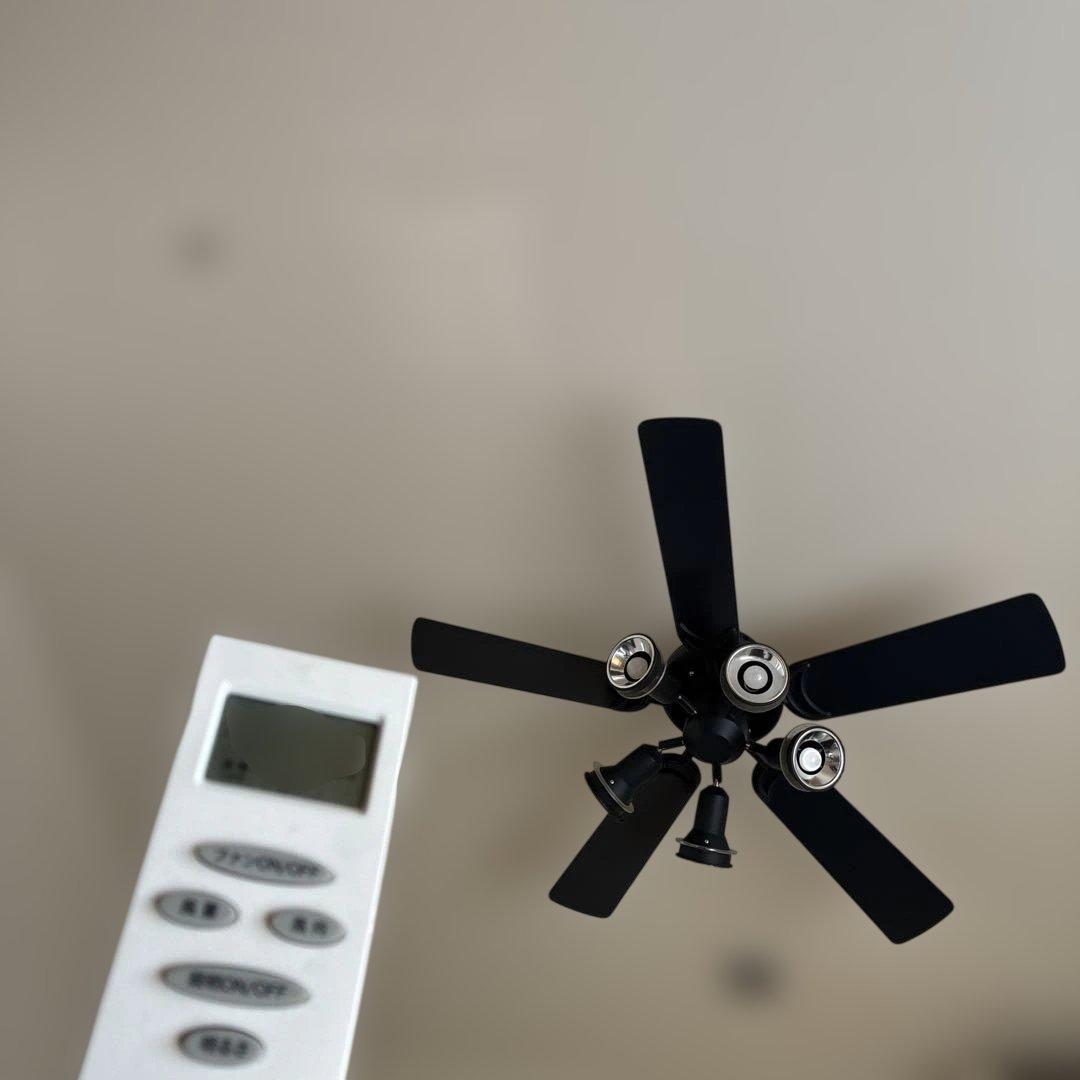 美品　レア　オーデリック　黒ファン　 元値　6万円 美品 レア オーデリック 黒ファン 元値 6万円 美品レアオーデリック黒