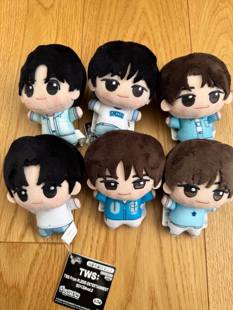 TWS ちびぐるみ　全種コンプリートセット TWS ちびぐるみ 全種コンプリートセット TWS From PLEDIS