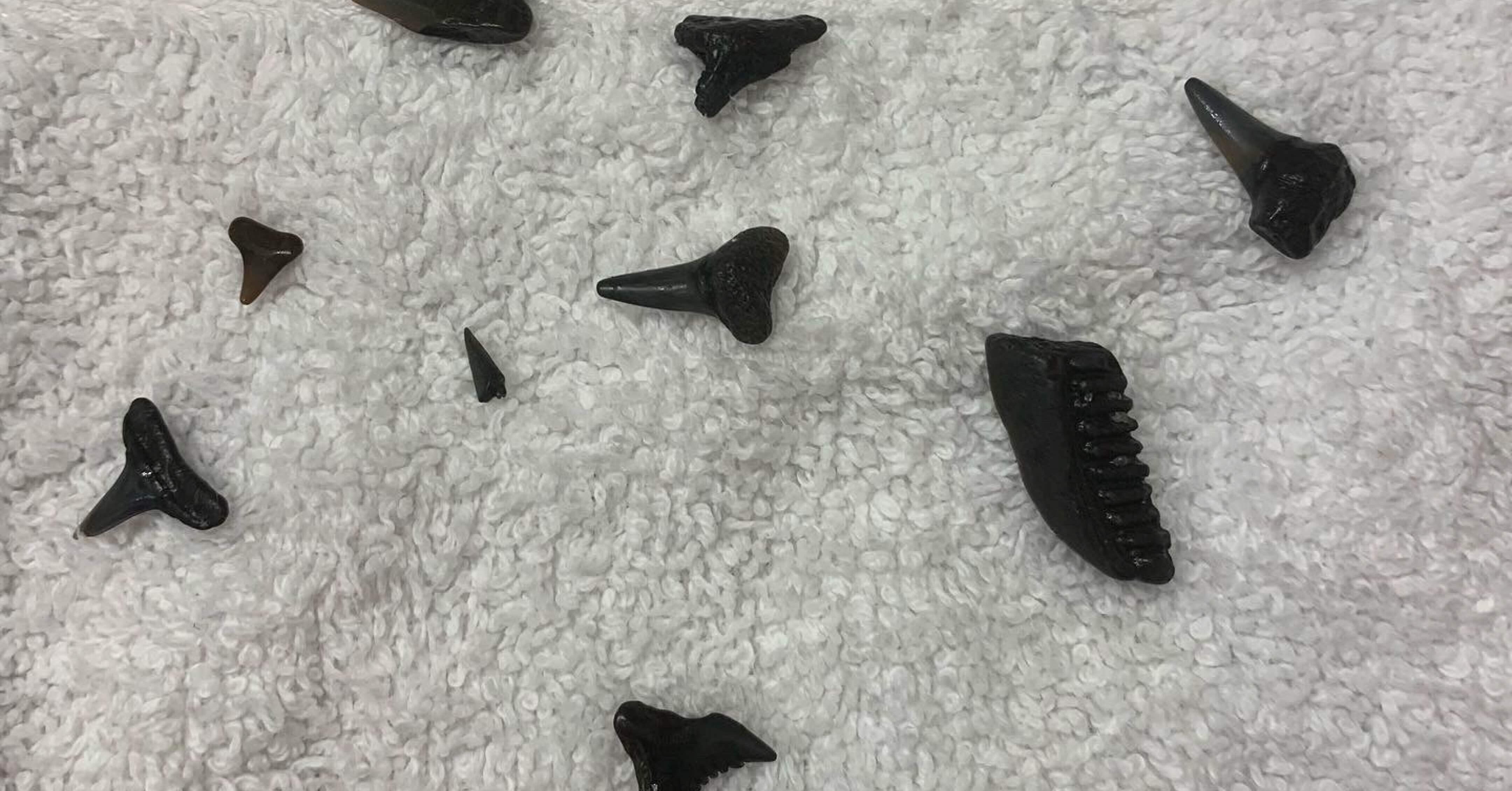 5f71c0e114d4bd1d8845e740523805