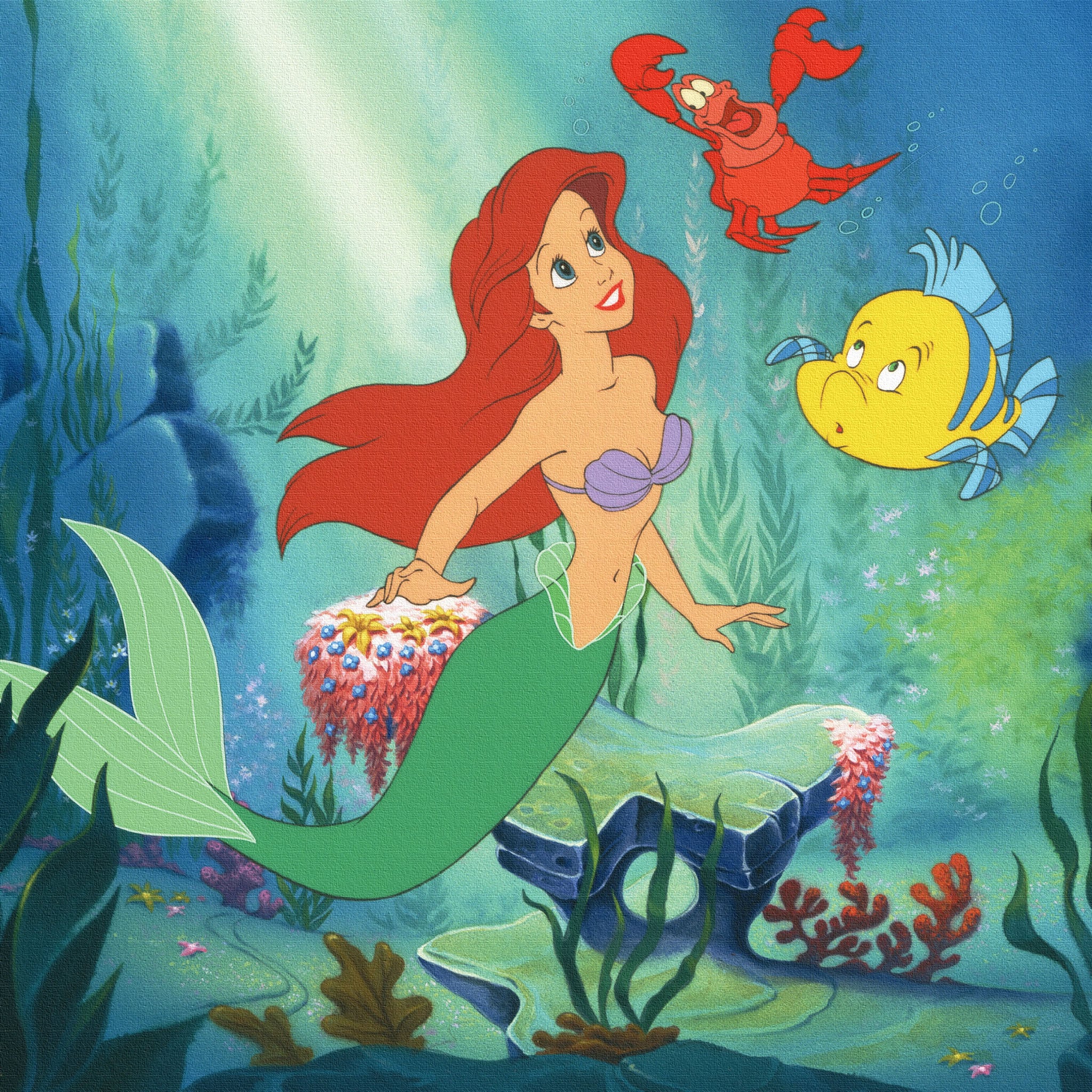 Disney アリエルとエリックの限定アート作品 ディズニー アリエル