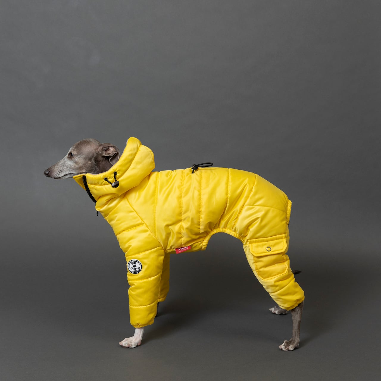 73be083661bfd61bf5a3fa8f9dbf41