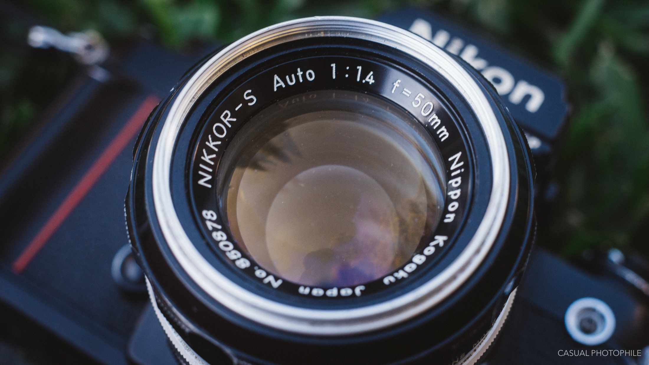 The Underdog Nikkor-S 50mm F/1.4 F Mount Lens, and Why it's My