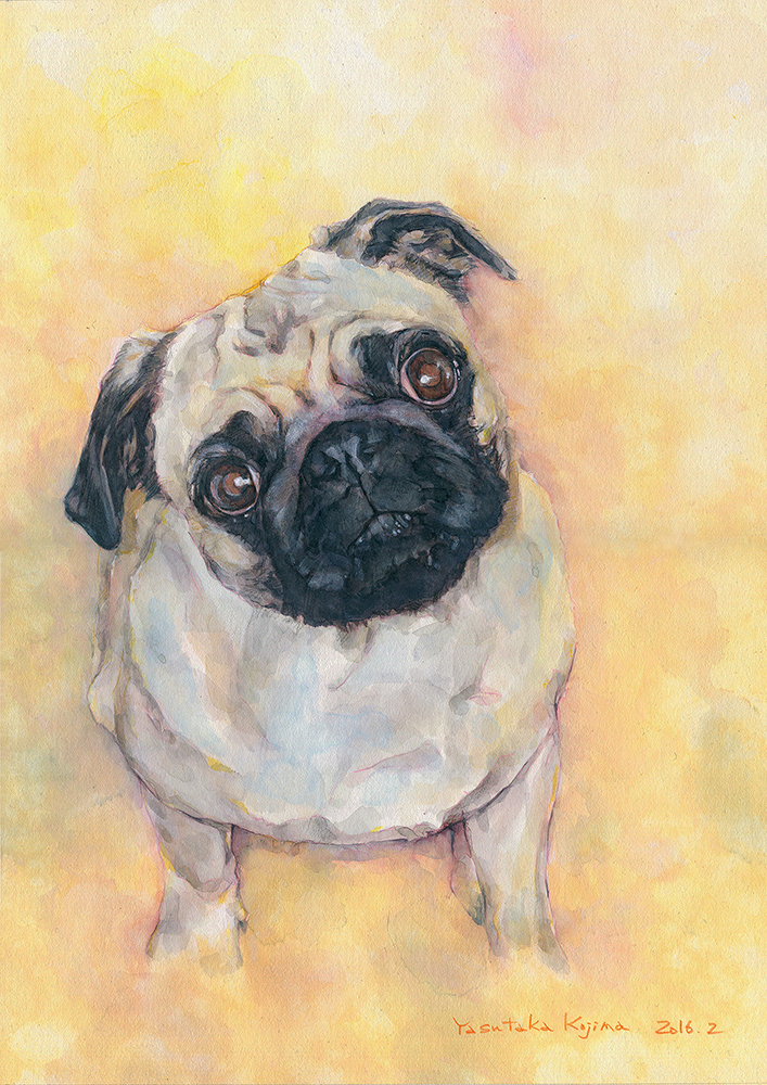 りんねです。パグ 色鉛筆画 犬の絵 りんねです。パグ 色鉛筆画 犬の絵