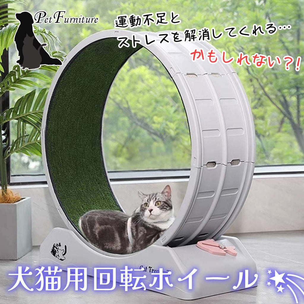 運動不足とストレスを解消してくれるかもしれない犬猫用回転